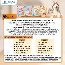 CatSensitive (4).webp