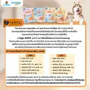 DogSmall (4).webp