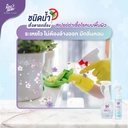 hygiene-care-surface-disinfectant-no-rinse