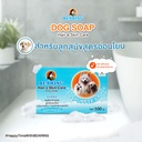 dog-soap-puppies