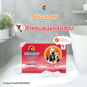 dog-soap-smelly-hair