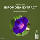 hemp-foam-shampoo-for-dogs-cats-inpomoea-extract