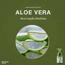 hemp-foam-shampoo-for-dogs-cats-aloe-vera