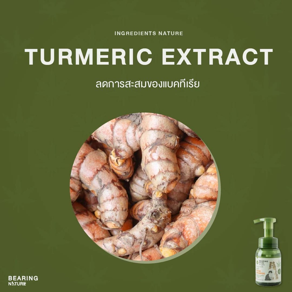 hemp-foam-shampoo-for-dogs-cats-turmeric-extract