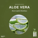 hemp-shampoo-for-dogs-cats-aloe-vera