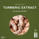 hemp-shampoo-for-dogs-cats-turmeric-extract