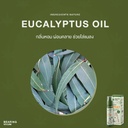 hemp-spray-for-dogs-and-cats-eucalyptus-oil