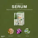 hemp-serum-for-dogs-cats