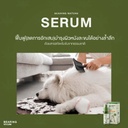 hemp-serum-for-dogs-cats-antiinflammation