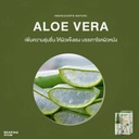 hemp-serum-for-dogs-cats-aloe-vera