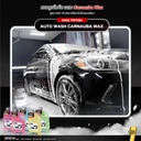 car-shampoo-auto-wash-carnauba-wax