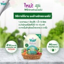 fruit-vegetable-wash-powder-instruction