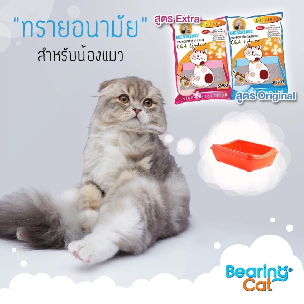 cat-litter