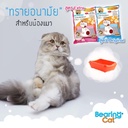 cat-litter