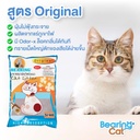 cat-litter-original