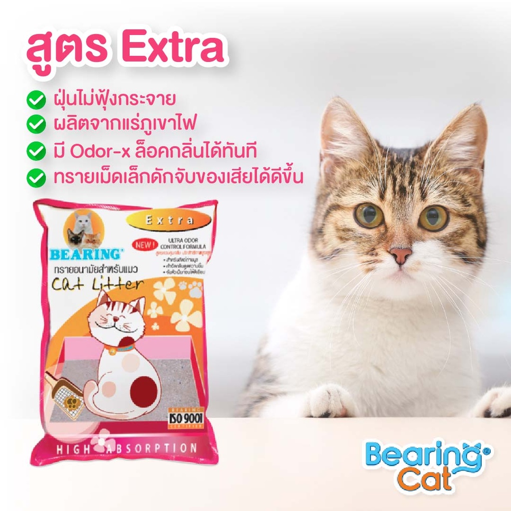 cat-litter-extra