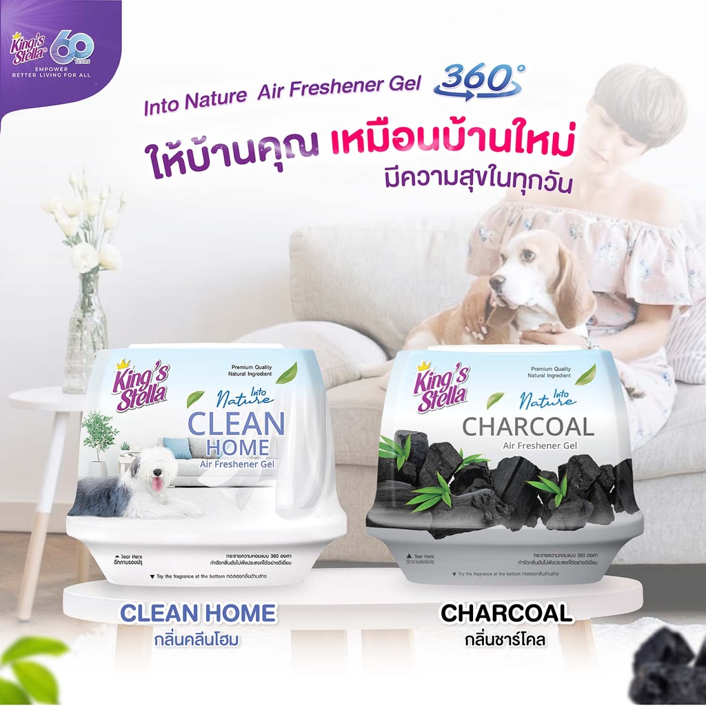 into-nature-air-freshener-gel-clean-home-charcoal