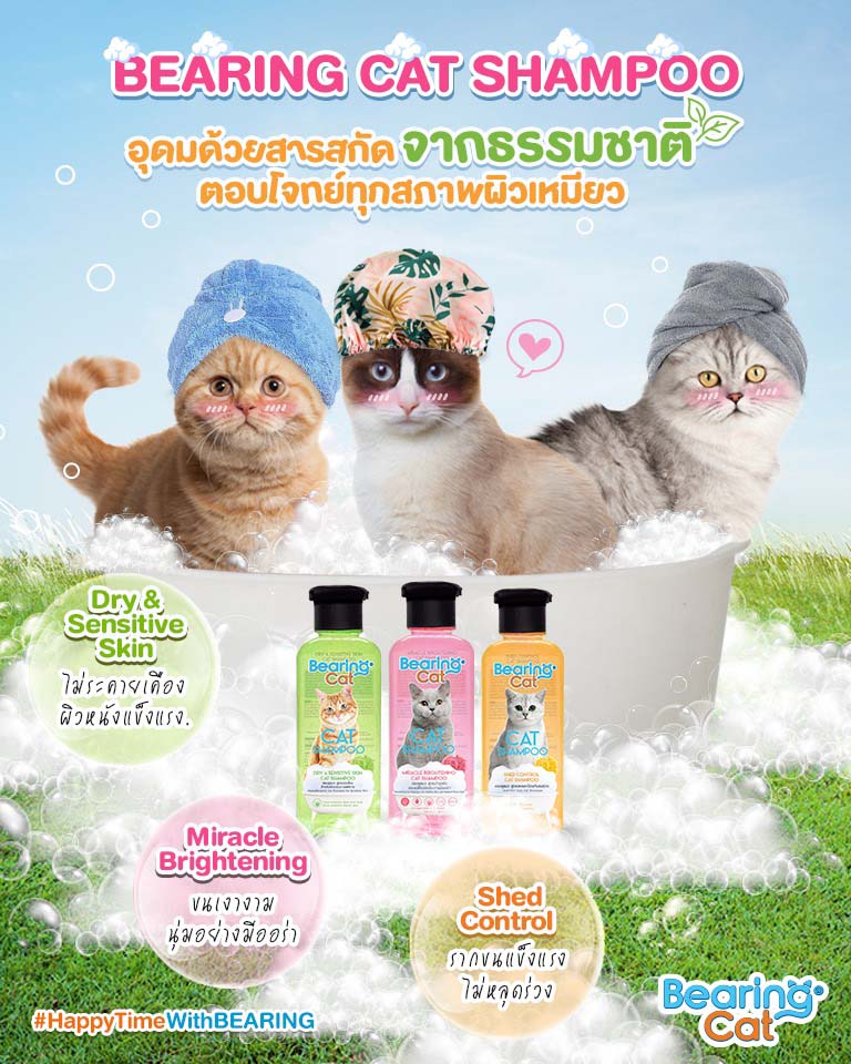 cat-shampoo-all