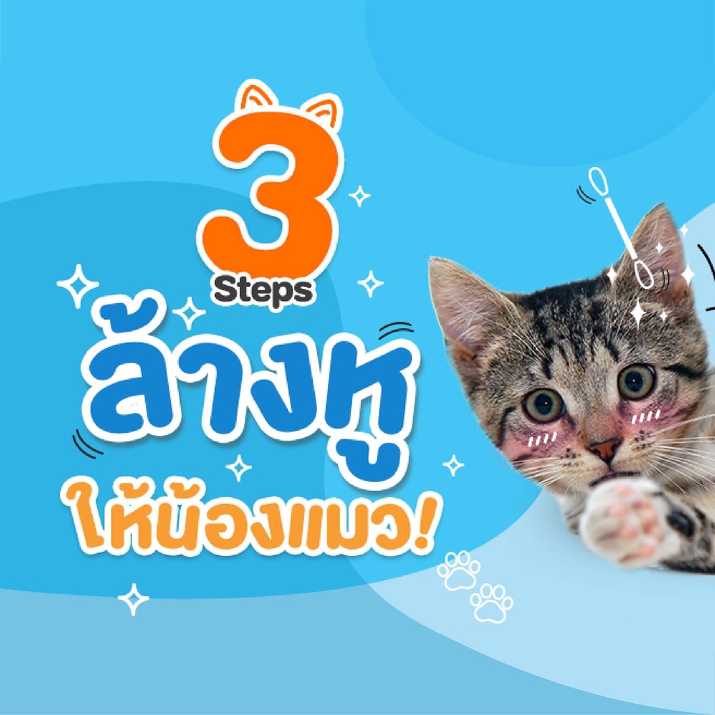 cat-ear-care-lotion-steps