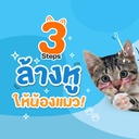 cat-ear-care-lotion-steps