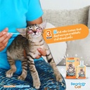 cat-ear-care-lotion-step-3