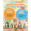 cat-ear-care-gel-lotion