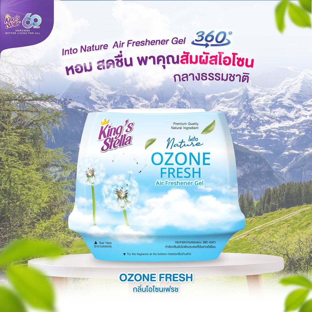 into-nature-air-freshener-gel-ozone-fresh