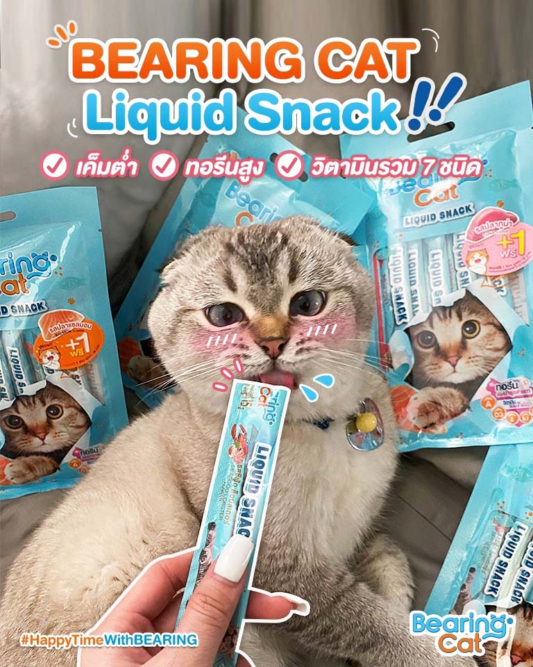 liquid-snack-for-cats-2