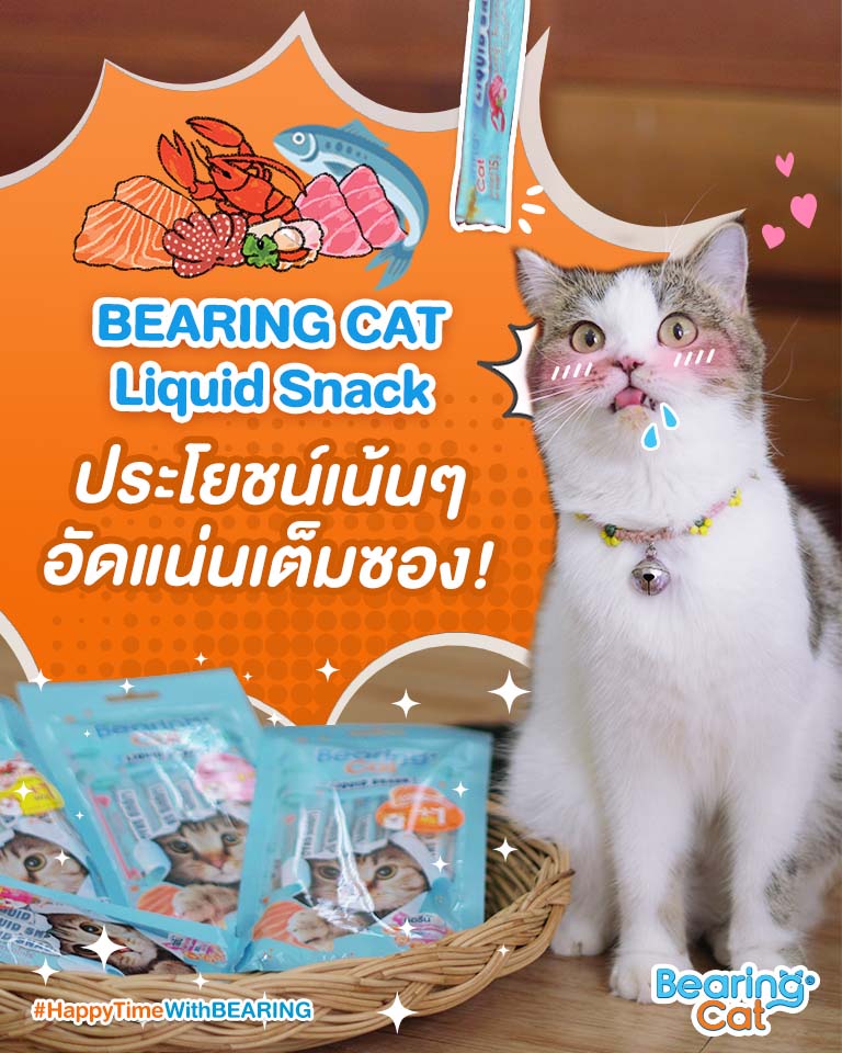 liquid-snack-for-cats-4