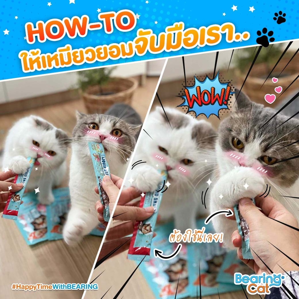 liquid-snack-for-cats-3