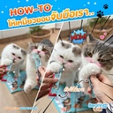 liquid-snack-for-cats-3