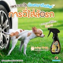 back-off-spray-for-dogs-prevent-urinating