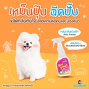 bad-smell-bye-bye-dogs