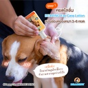 cotton-bud-dog-1