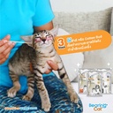cotton-bud-cat-2