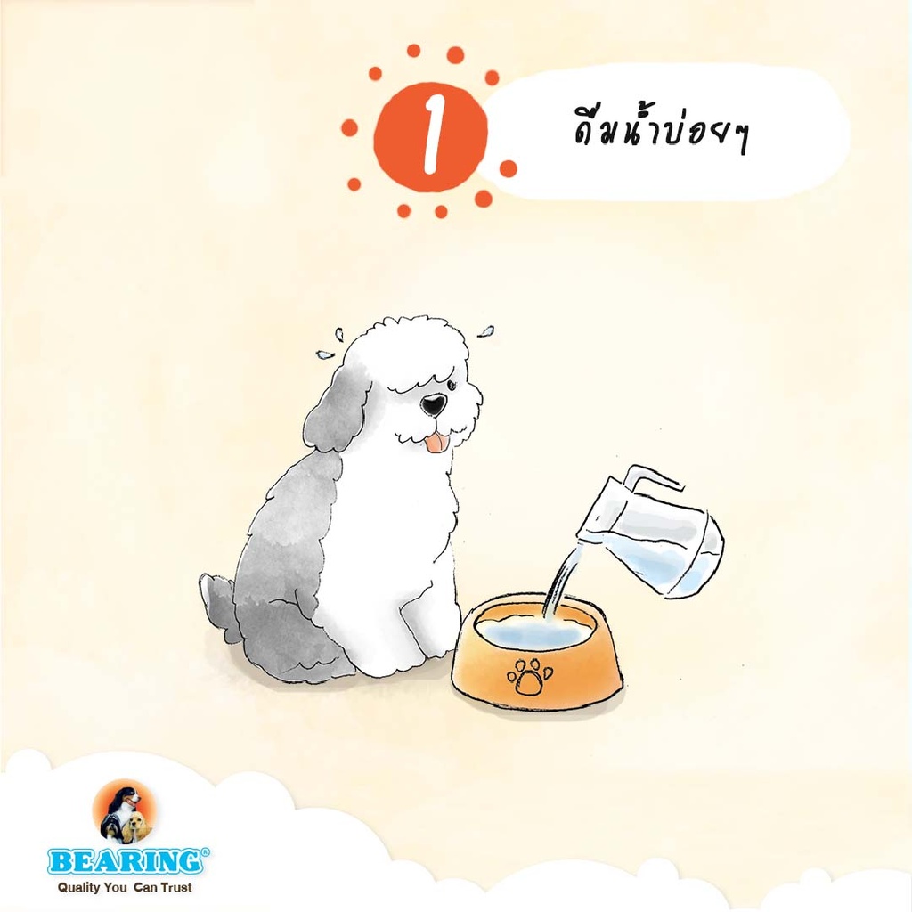 icy-cool-dog-powder-1