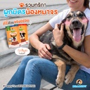 jerky-treats-soft-snack-for-dogs-5